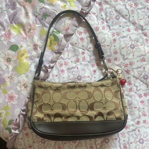 Coach Signiture Demi Mini Pouch Bag